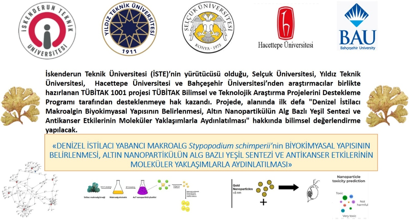 Proje Kurumları